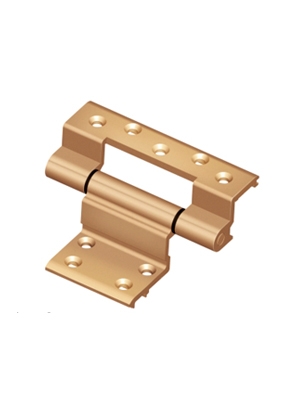 66 aluminum door hinge -3